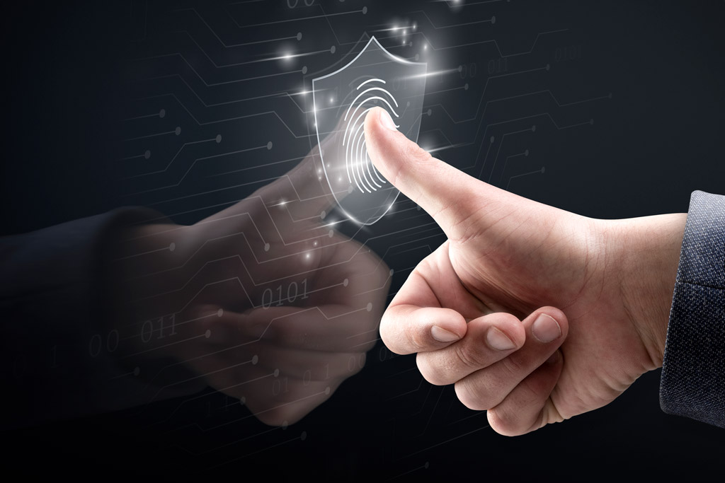 Seguridad de la información, ciberseguridad y protección de datos